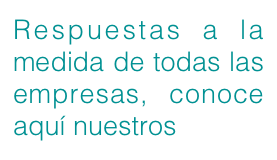 Respuestas a la medida de todas las empresas, conoce aquí nuestros